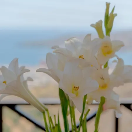 Vera Vista Ano Syros