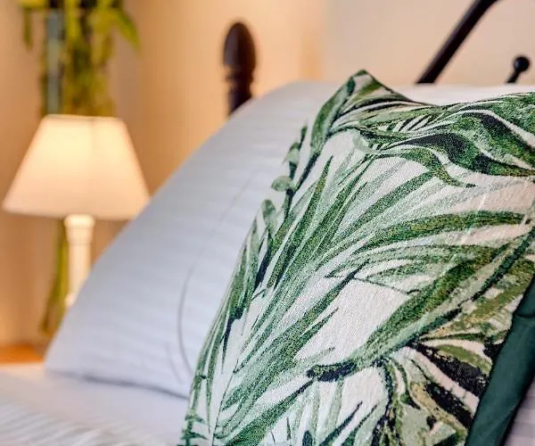 아파트 Vera Vista 아노 시로스