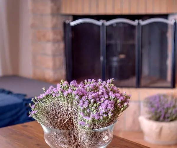 Vera Vista 아노 시로스