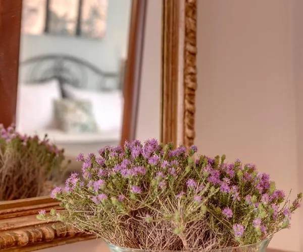 Lägenhet Vera Vista Ano Syros